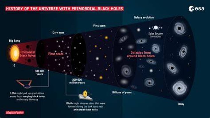 Are there universes inside black holes?