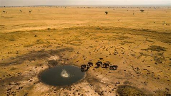 Are there watering holes in the savannah?