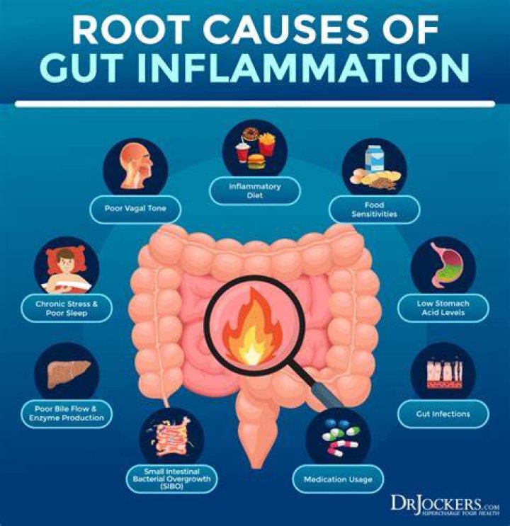 Can anxiety cause inflammation in the gut?