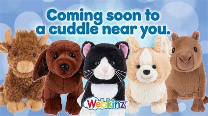 Can I email Webkinz?