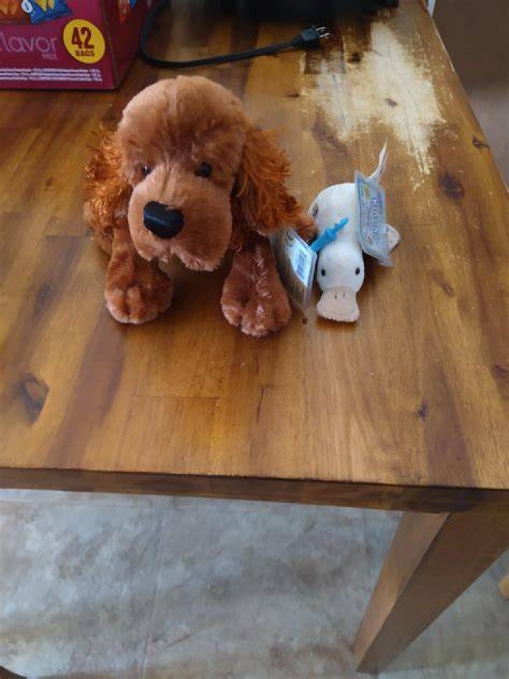 Can I machine wash Webkinz?