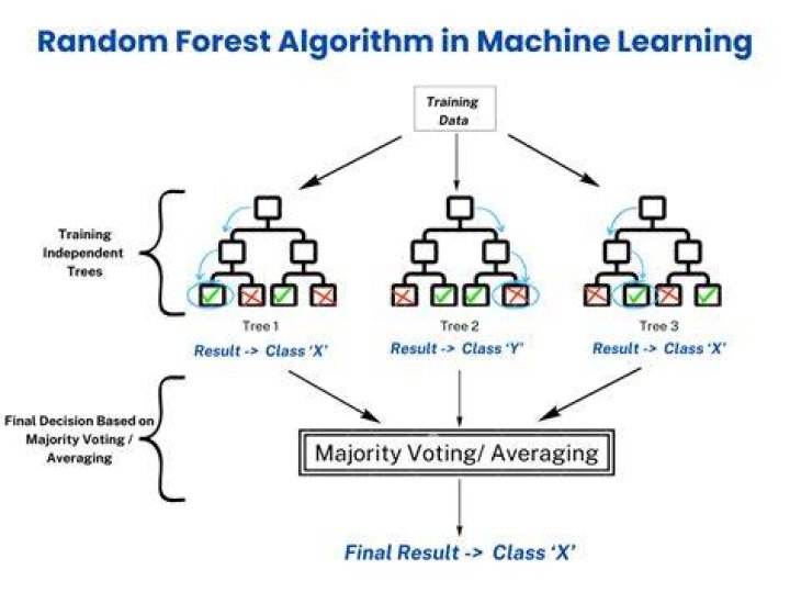 Can random forest giving 100 accuracy?
