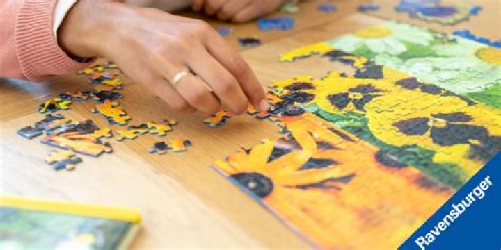 Can ravens solve puzzles?