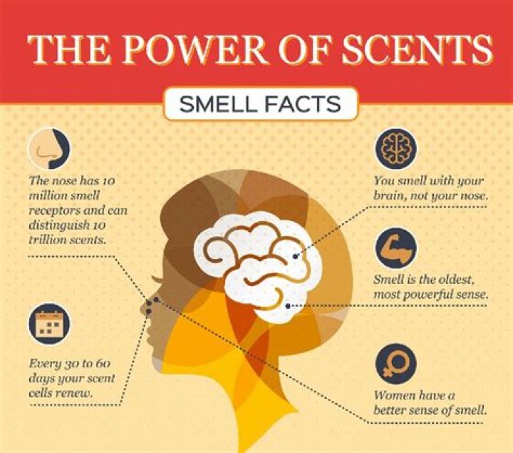 Can smells be beautiful?
