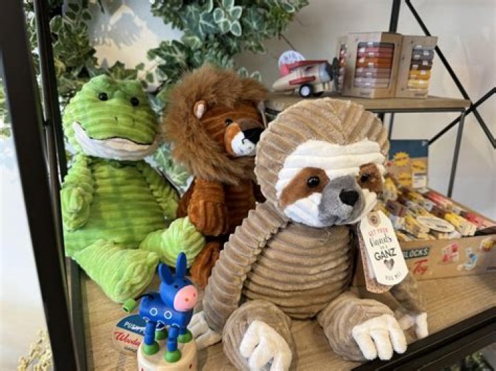 Can t remember Webkinz?