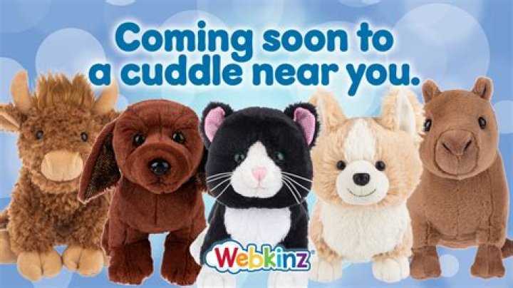 Can you buy a Webkinz?