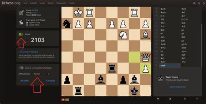 Can you cheat on lichess?