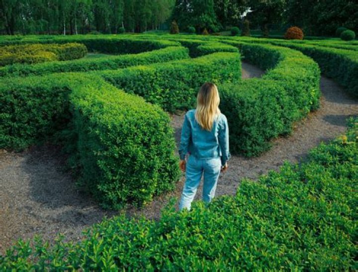 Can you climb a hedge maze?