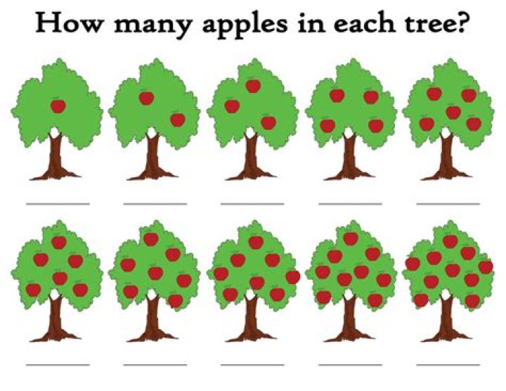 Can you count the number of apples in the picture below?