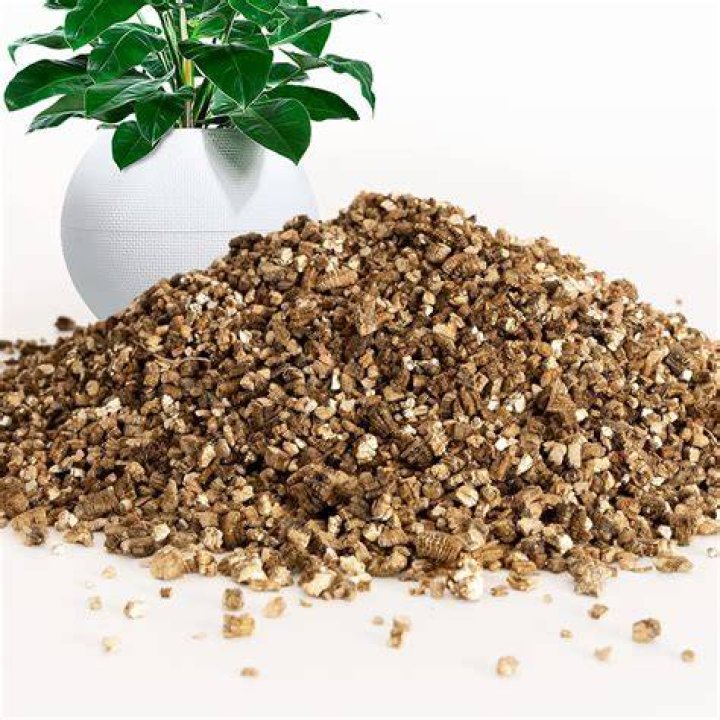 Can you grow plants in only vermiculite?