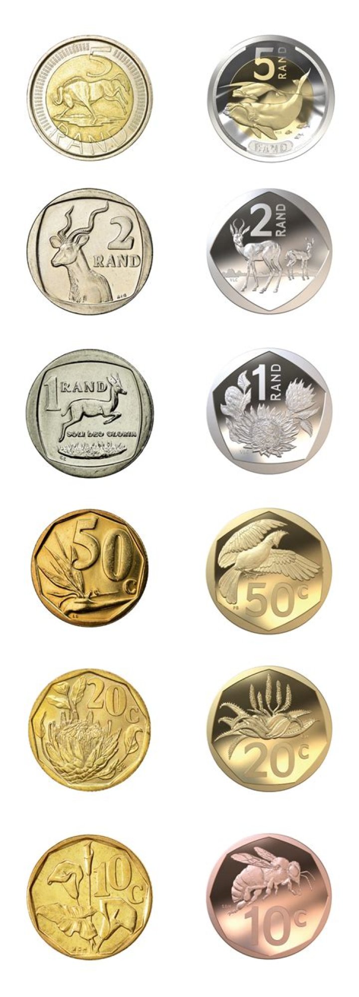 Can you make two piles of 10 coins?