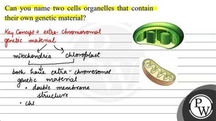 Can you name the 2 organelles We have studied that contain their own genetic material?