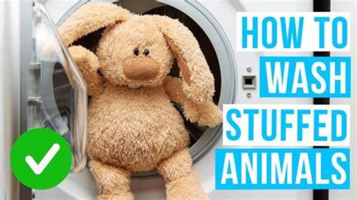 Can you put stuffed animals in the washing machine?