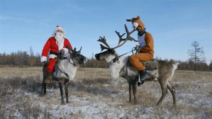 Can you ride a reindeer?