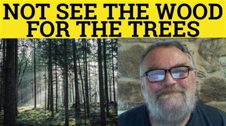 Can you see the forest among the trees?