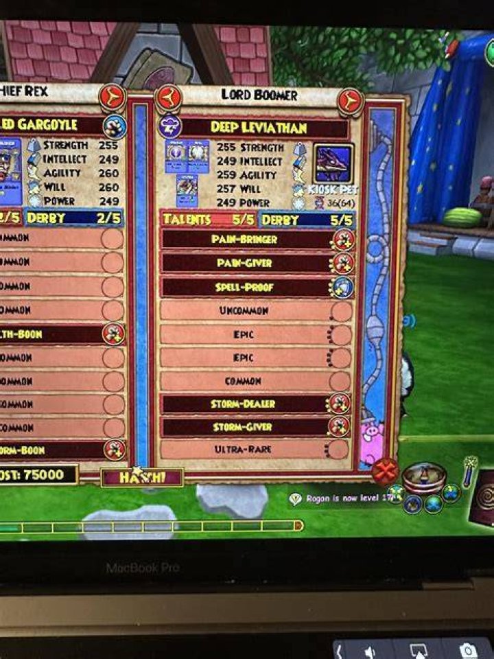 Can you transfer pets between characters wizard101?