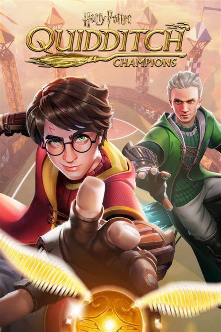 Did Malfoy quit Quidditch?