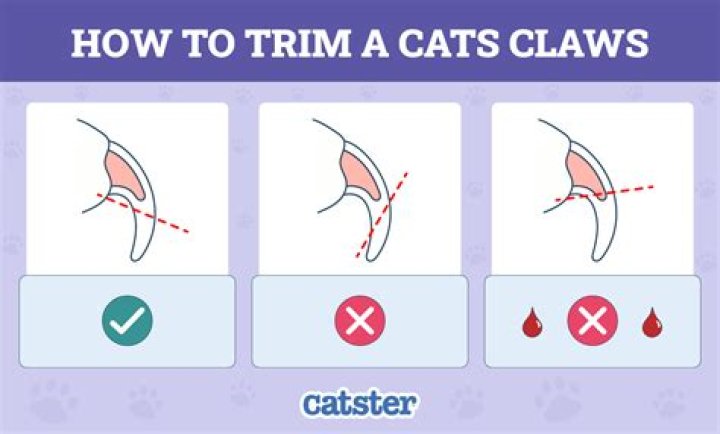 Do cats trim their own back nails?