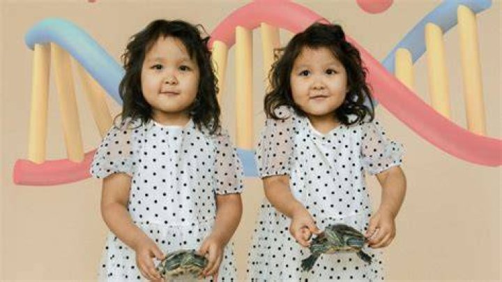Do twins have the same nature?