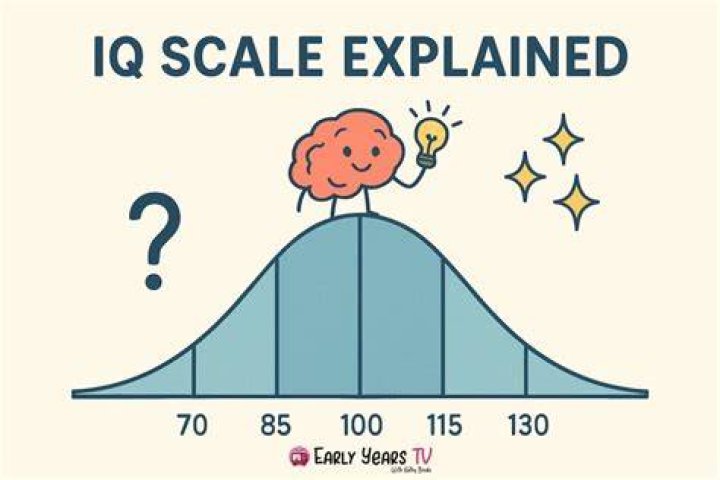 Does IQ measure spatial intelligence?
