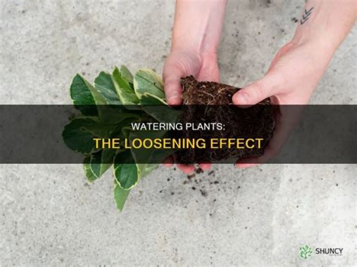 Does water loosen soil?