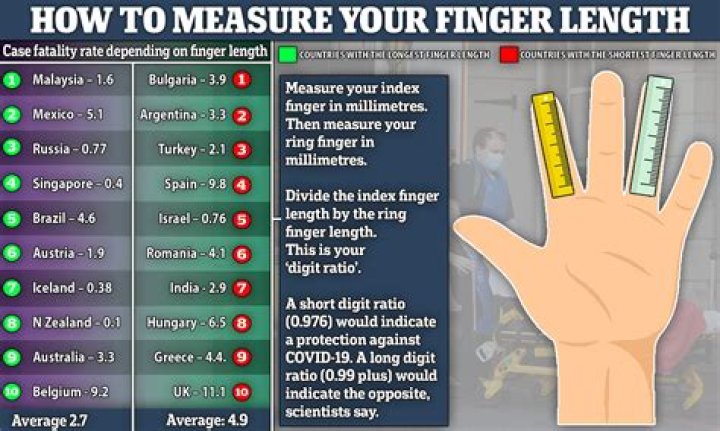 How big is an inch on your finger?