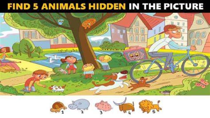 How can I identify a picture puzzle?