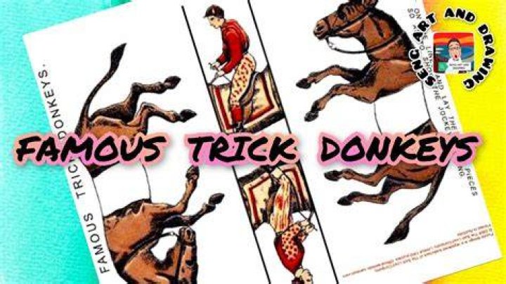 How do donkeys solve the famous trick?