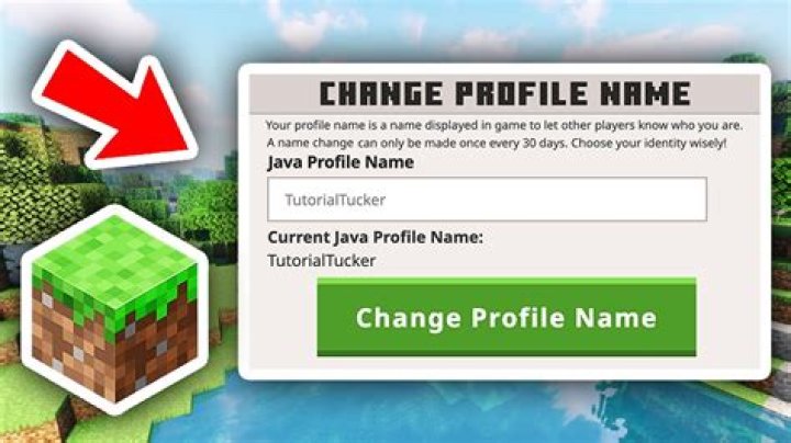 How do I change my username in Dragon Cave?