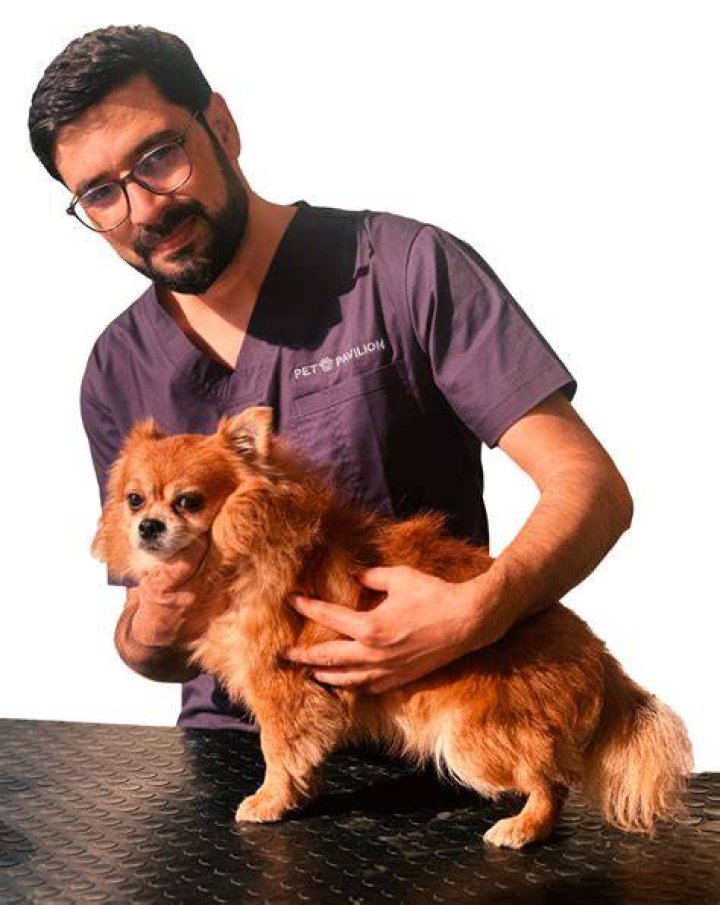 How do I unlock pet Pavilion?