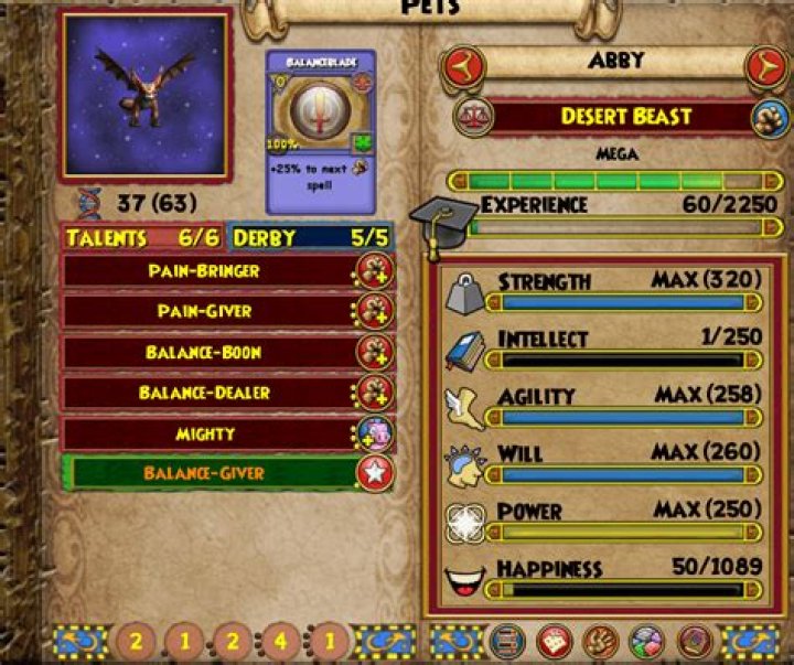 How do pets work wizard101?