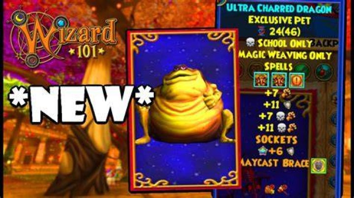 How do you equip pets in wizard101?