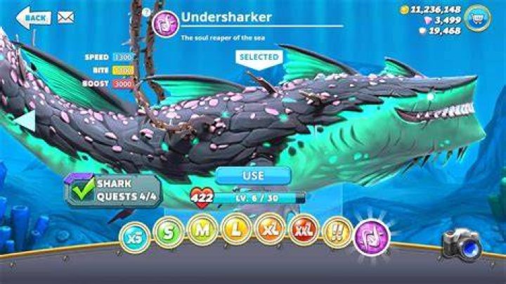 How do you get in the pool on hungry shark?