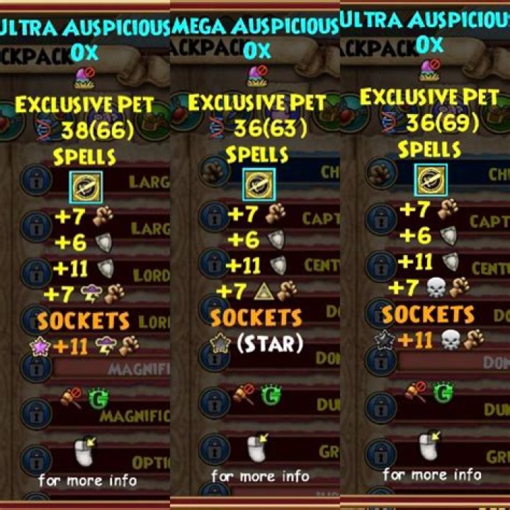 How do you get pet XP in wizard101?