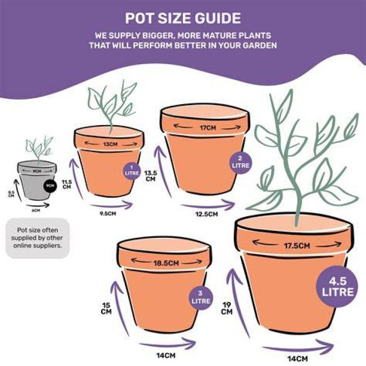 How do you increase the size of a flower in a plant?
