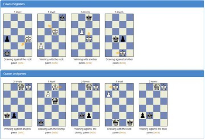 How do you learn endgame chess?