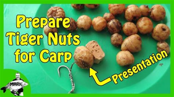 How do you prepare nuts for fishing?