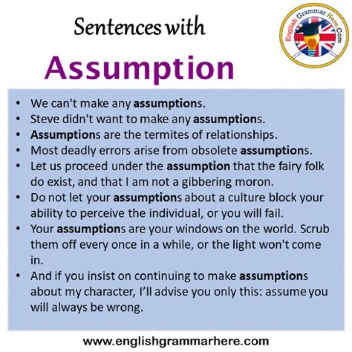 How do you use assumption in a sentence?