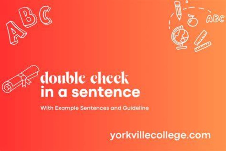 How do you use double check in a sentence?