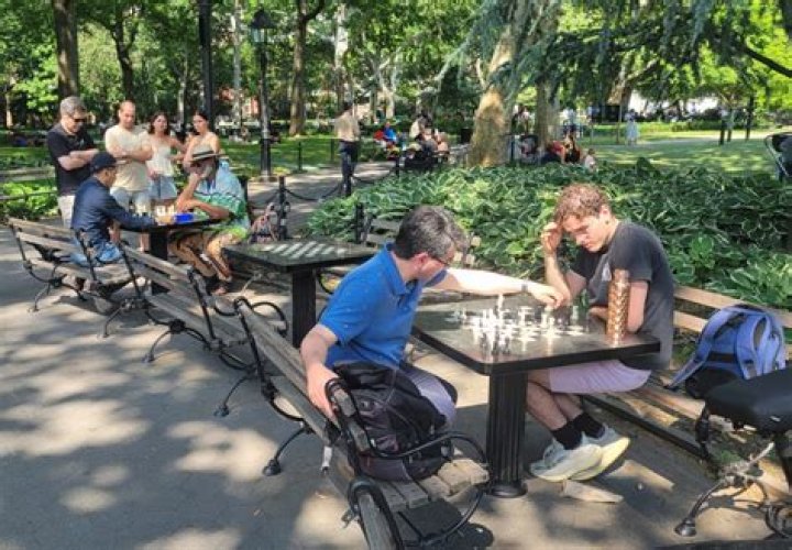 How good are park chess hustlers?