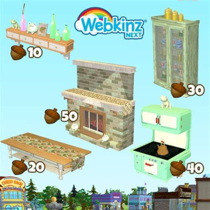 How long do Webkinz accounts last?