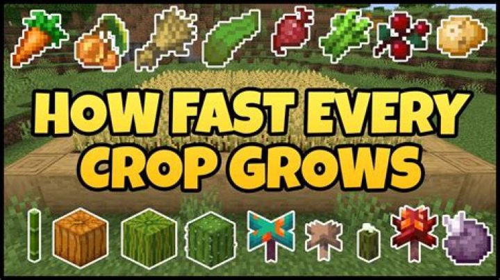 How long do Webkinz crops take?