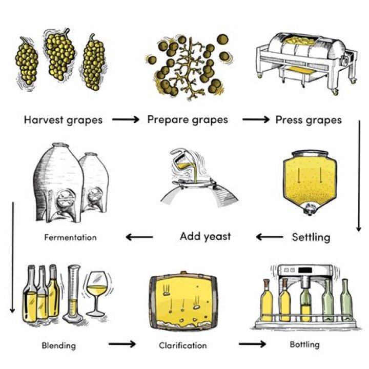 How long is homemade wine good for after bottling?