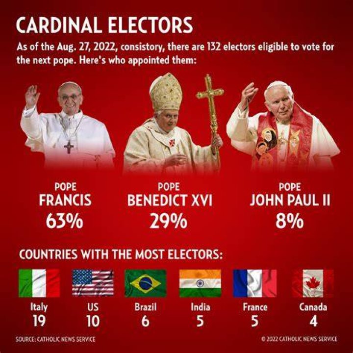 How many Catholic cardinals are there?