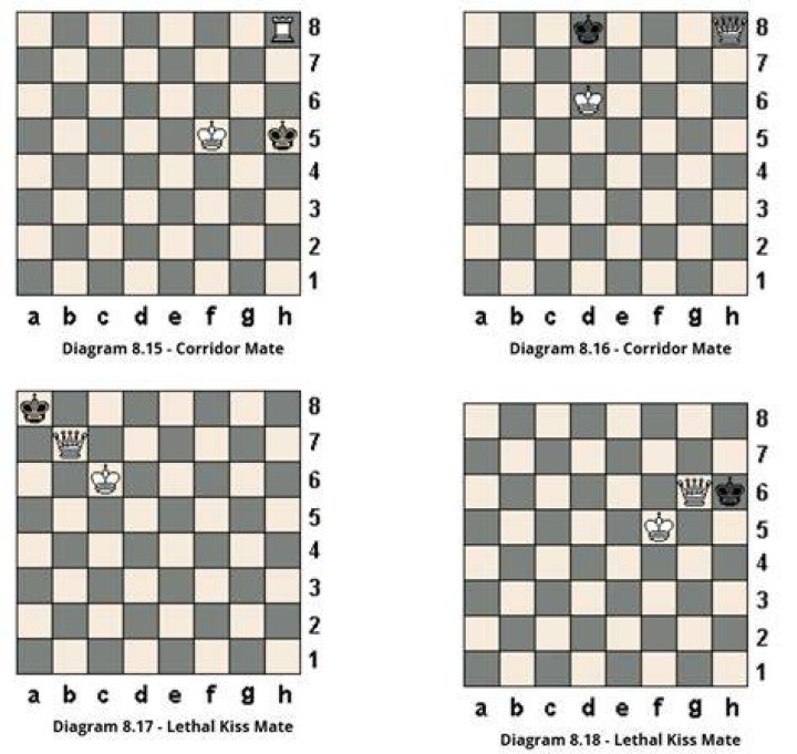 How many Checkmates are allowed in chess?