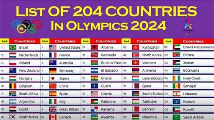 How many countries participate in the Olympics 2008?