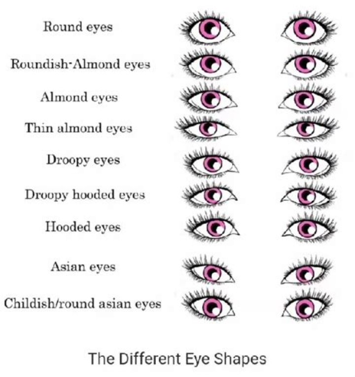 How many eyes do I have?