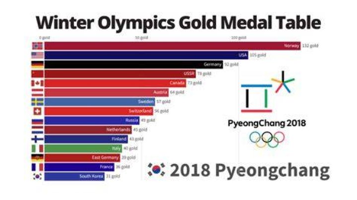 How many gold medals did us win in the 2010 Winter Olympics?