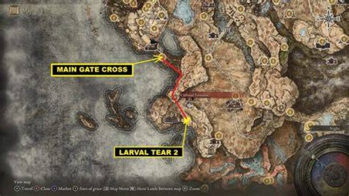 How many larval tears are in Elden Ring Reddit?