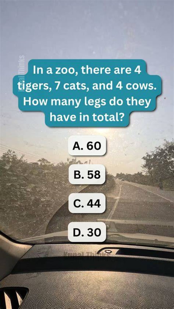 How many legs are on 7 cats?